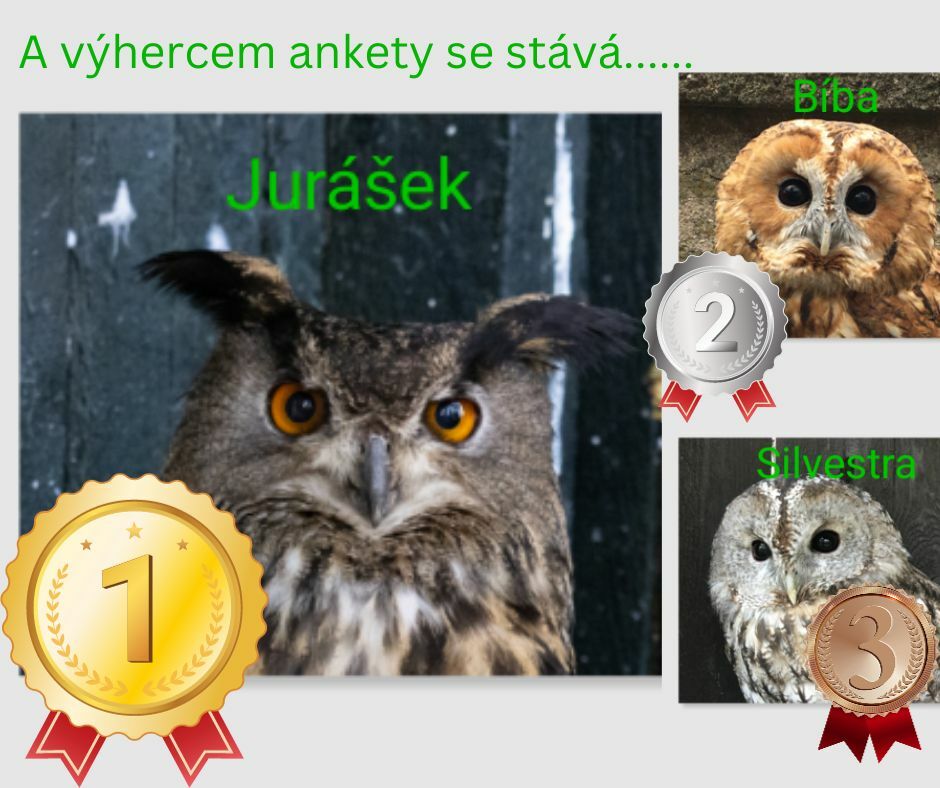 ikona článku